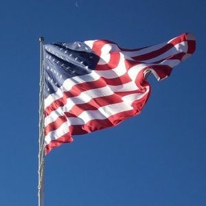 Meet your Posher, Sandy